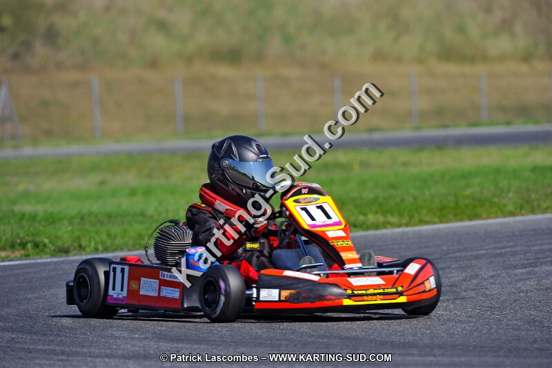 DSC_ (1269).jpg